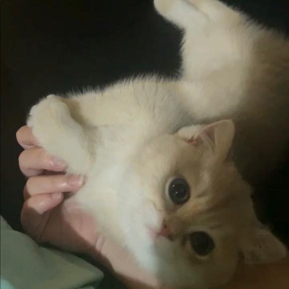 knaomiiii